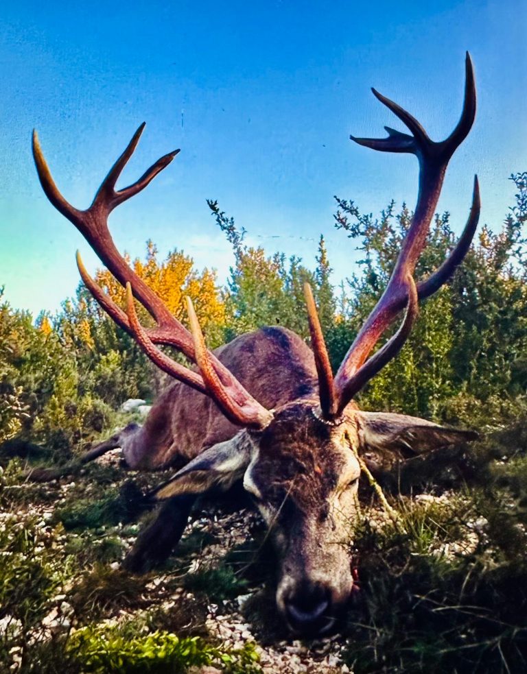 Berrea del Ciervo con Cotos Mas
