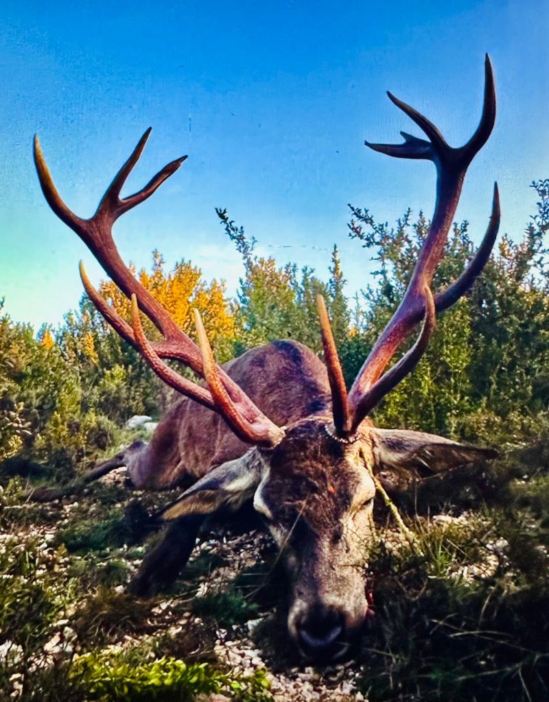 Berrea del Ciervo con Cotos Mas