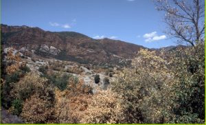 Grandes incendios forestales