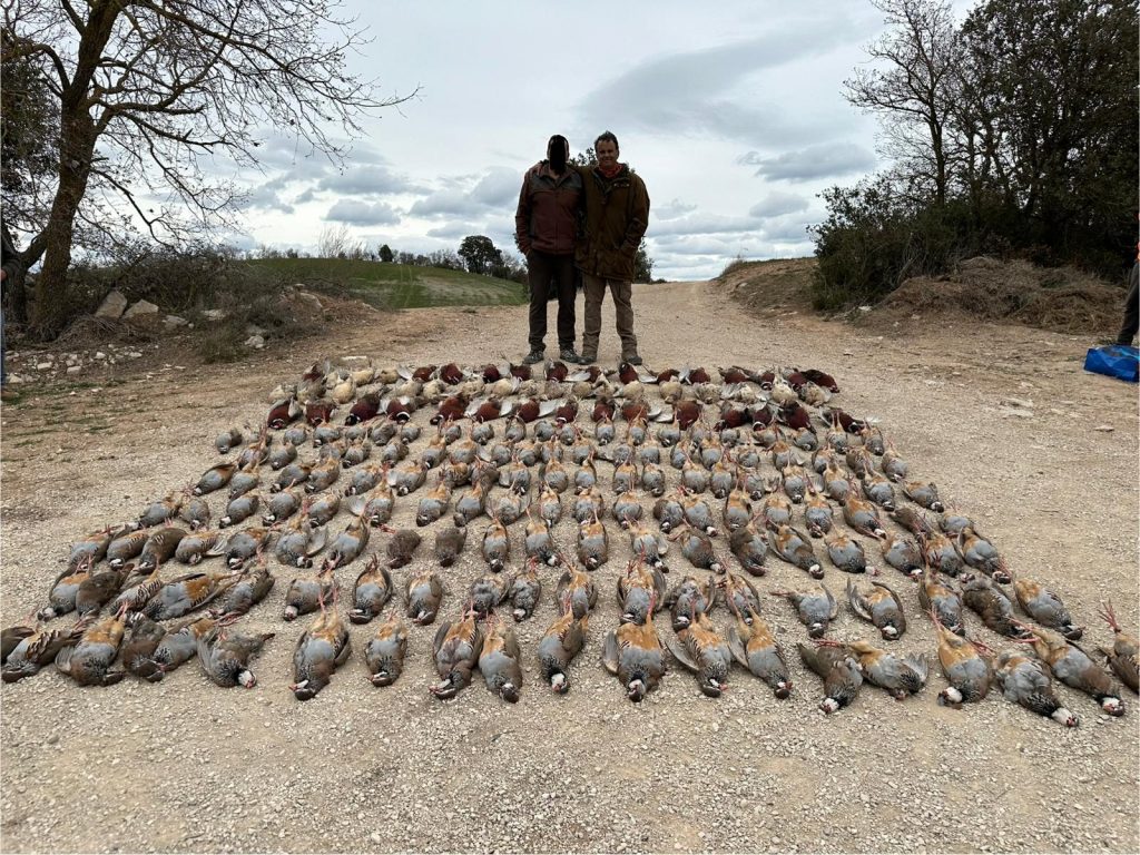 Ojeo de Perdiz en Cotos Mas