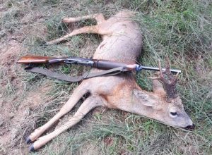 Un gran corzo para Francisco