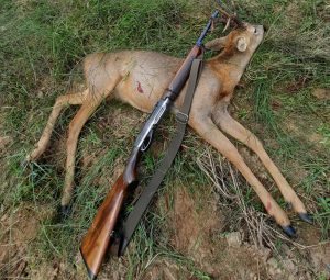 Un gran corzo para Francisco